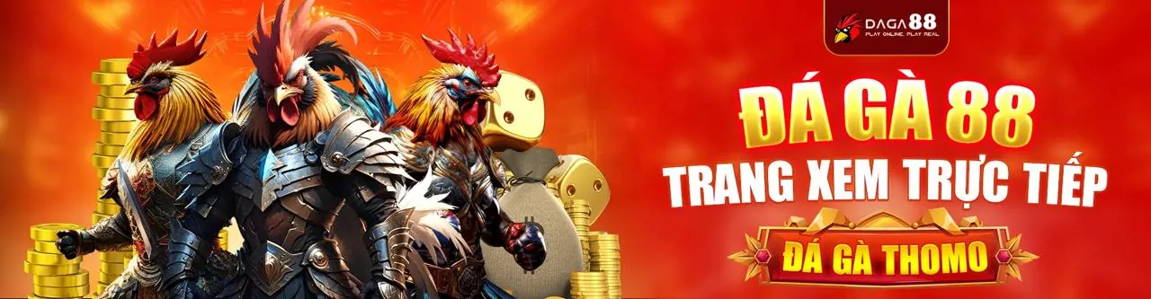 Ứng dụng di động QQ888 trên điện thoại thông minh, sẵn sàng để tải xuống và trải nghiệm cá cược trực tuyến
